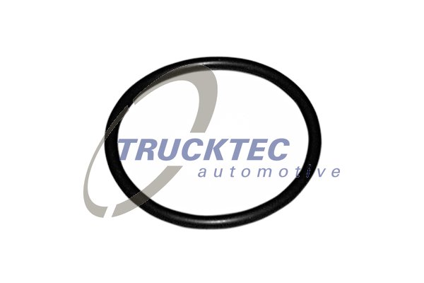 TRUCKTEC AUTOMOTIVE 07.19.039 Tesnenie termostatu