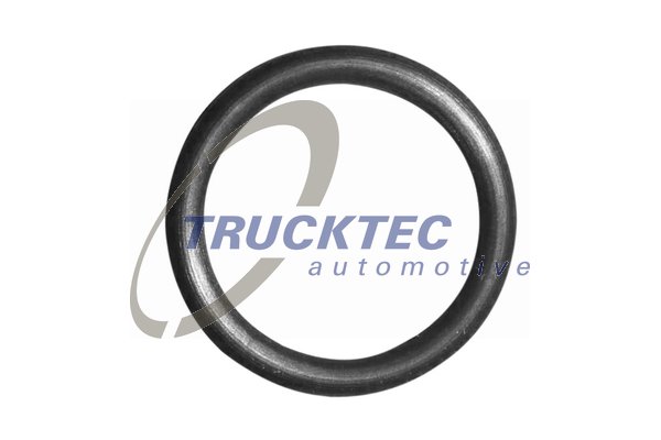 TRUCKTEC AUTOMOTIVE 08.10.095 Στεγανοποιητικός δακτύλιος, εκκένωση λαδιού (τούρμπο) for BMW