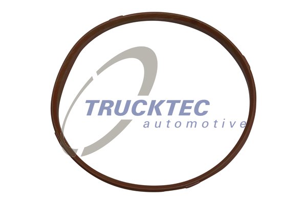 TRUCKTEC AUTOMOTIVE 08.13.002 Τσιμούχα, περίβλημα πολλαπλής εισαγωγής for BMW