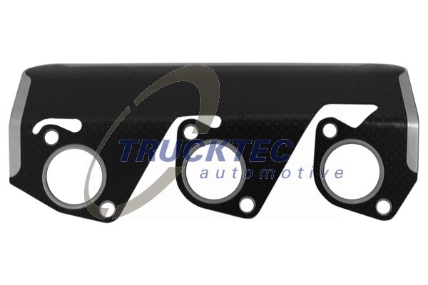 TRUCKTEC AUTOMOTIVE 08.16.002 Τσιμούχα, πολλαπλή εξαγωγή for BMW