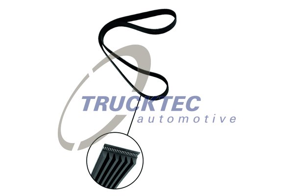 TRUCKTEC AUTOMOTIVE 08.19.246 Ιμάντας poly-V for ALFA ROMEO BMW BMW (BRILLIANCE) CHRYSLER JAGUAR JEEP LANCIA MERCEDES-BENZ OPEL 