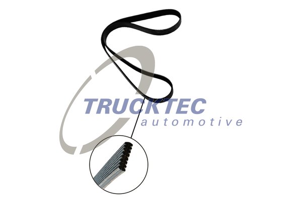 TRUCKTEC AUTOMOTIVE 08.19.262 Ιμάντας poly-V for BMW