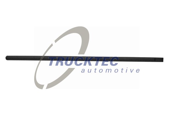 TRUCKTEC AUTOMOTIVE 08.62.850 Διακοσμητική/προστατευτική λωρίδα, πόρτα μπροστά δεξιά for BMW