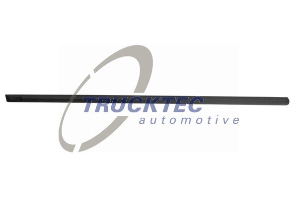 TRUCKTEC AUTOMOTIVE 08.62.853 Διακοσμητική/προστατευτική λωρίδα, πόρτα εμπρός αριστερά for BMW