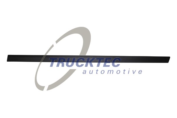 TRUCKTEC AUTOMOTIVE 08.62.898 Διακοσμητική/προστατευτική λωρίδα, πόρτα πίσω αριστερά for BMW