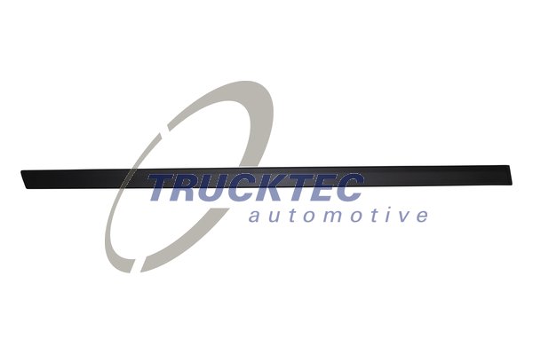 TRUCKTEC AUTOMOTIVE 08.62.901 Διακοσμητική/προστατευτική λωρίδα, πόρτα πίσω δεξιά for BMW