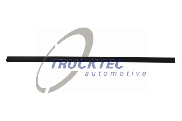 TRUCKTEC AUTOMOTIVE 08.62.902 Διακοσμητική/προστατευτική λωρίδα, πόρτα αριστερά for BMW