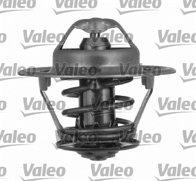 Thermostat, coolant