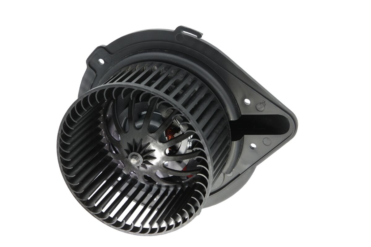 Interior Blower