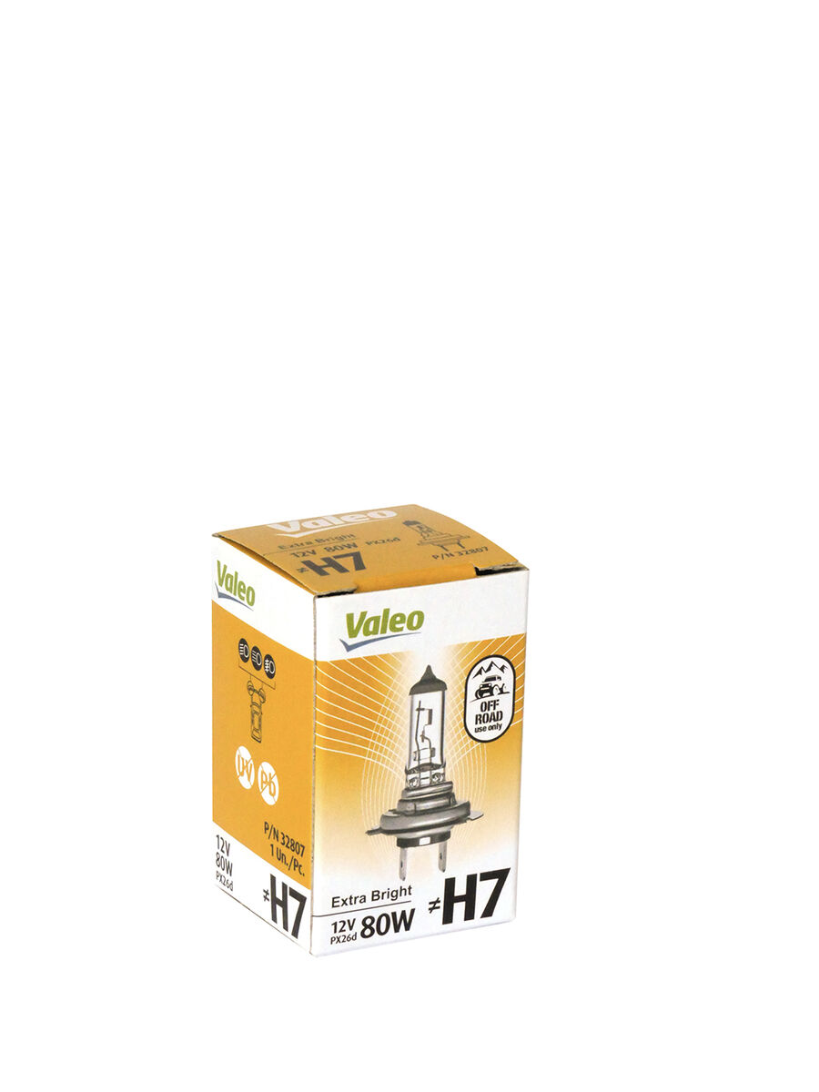Bulb, spotlight