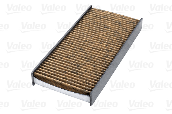 VALEO 701002 Filtro, Aria abitacolo