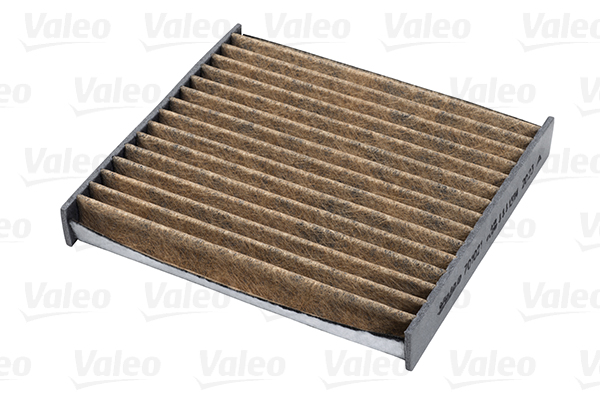 VALEO 701021 Filtro, Aria abitacolo