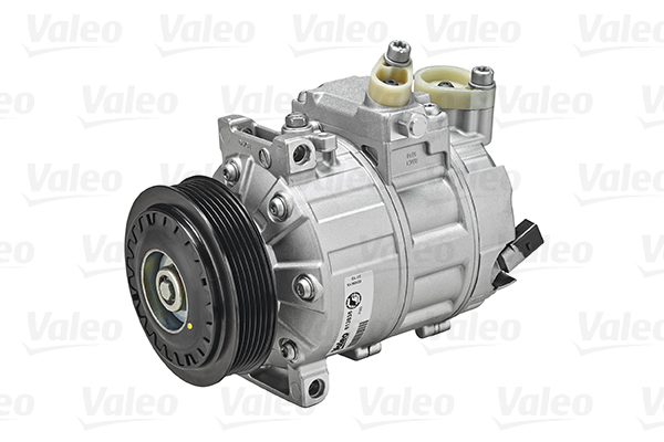 VALEO 813838 Compressore, Climatizzatore-Compressore, Climatizzatore-Ricambi Euro