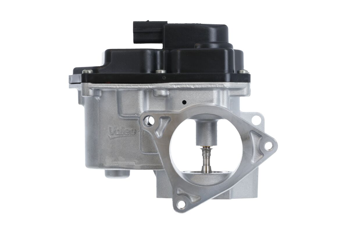 EGR Valve 2