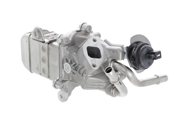 EGR Module