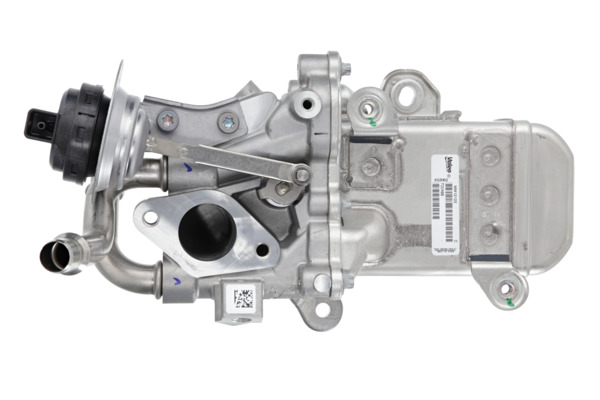 EGR Module 2