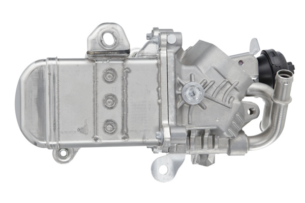 EGR Module 3