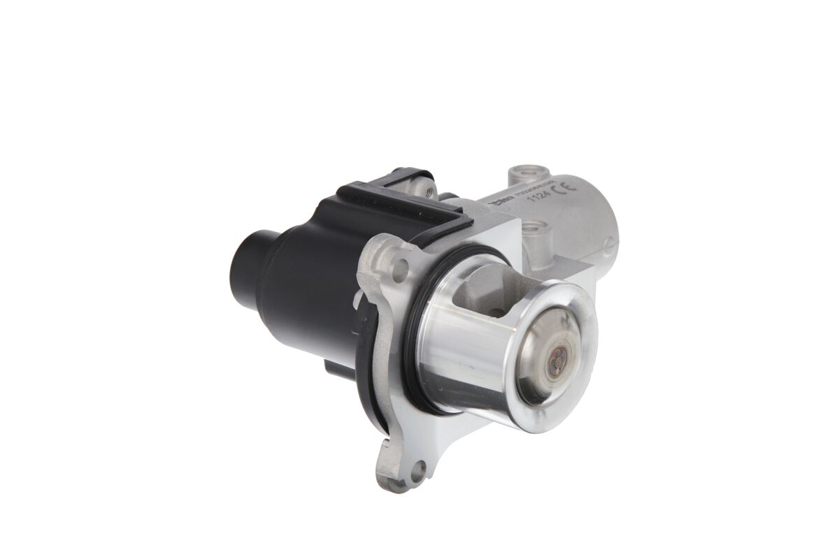 EGR Valve 3
