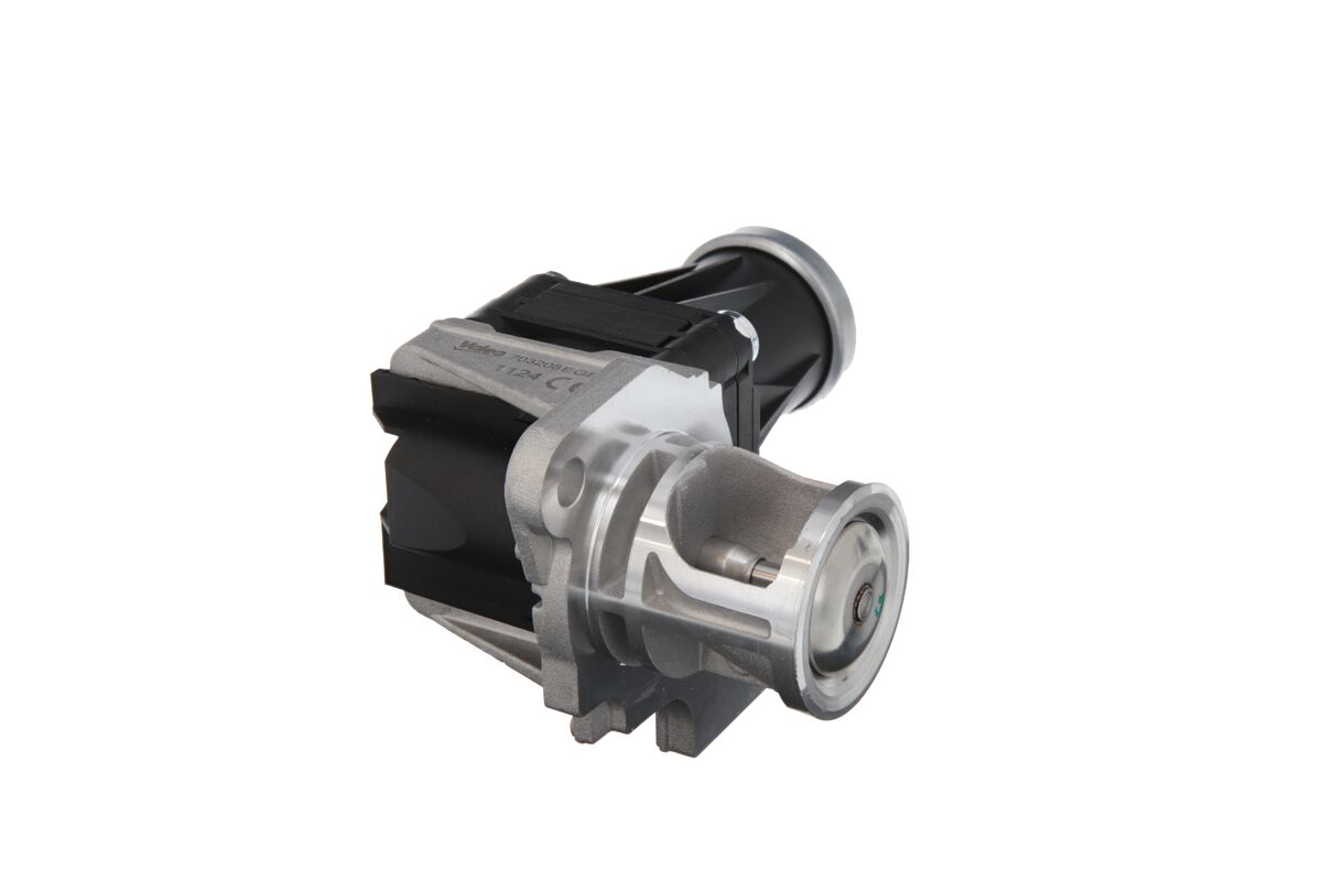 EGR Valve 3
