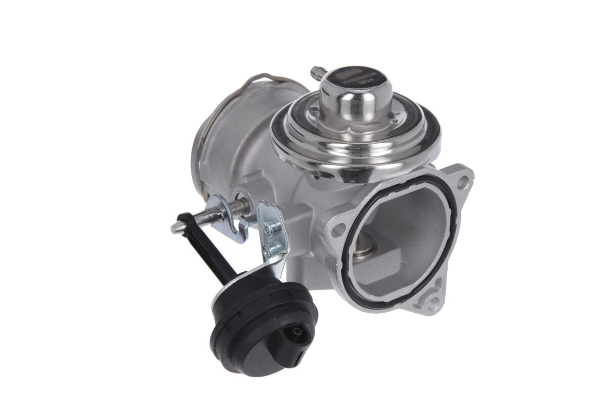 EGR Valve 3