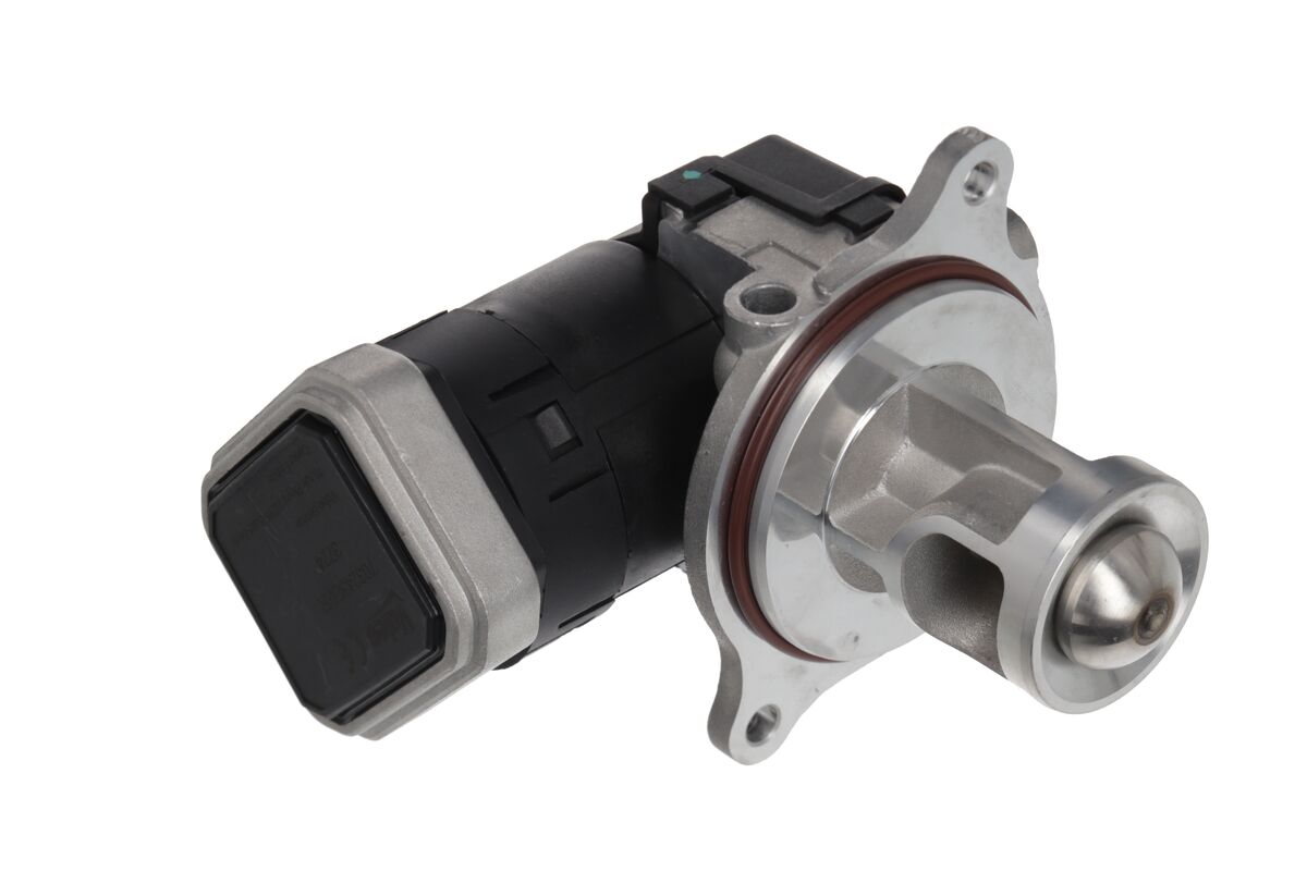 EGR Valve 3