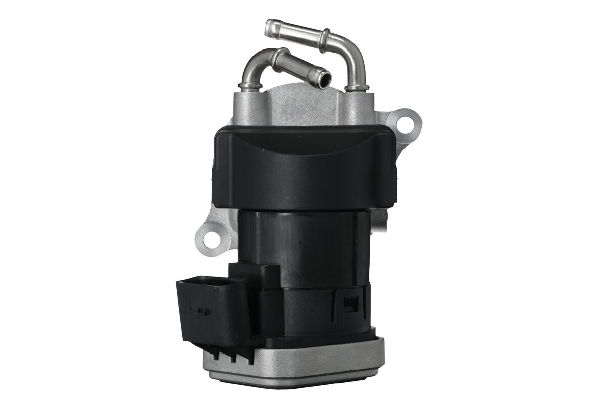 EGR Valve 2