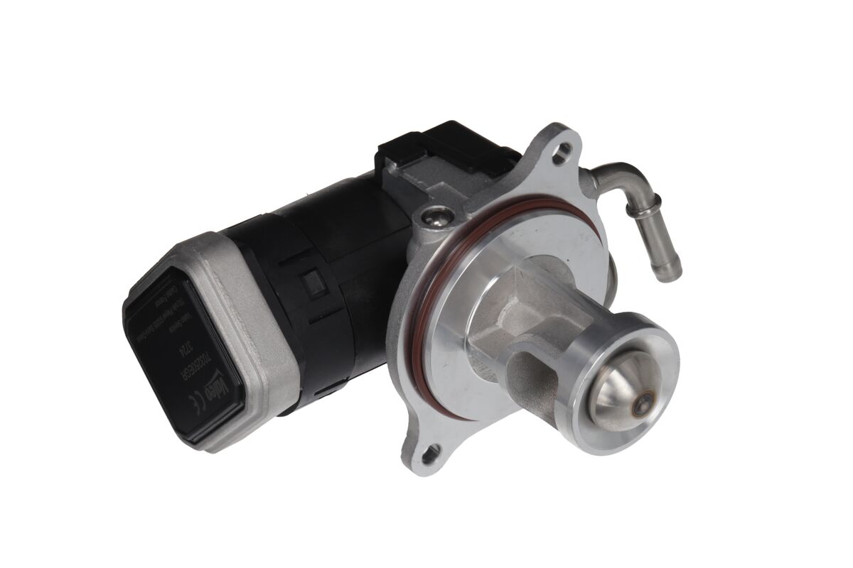 EGR Valve 3
