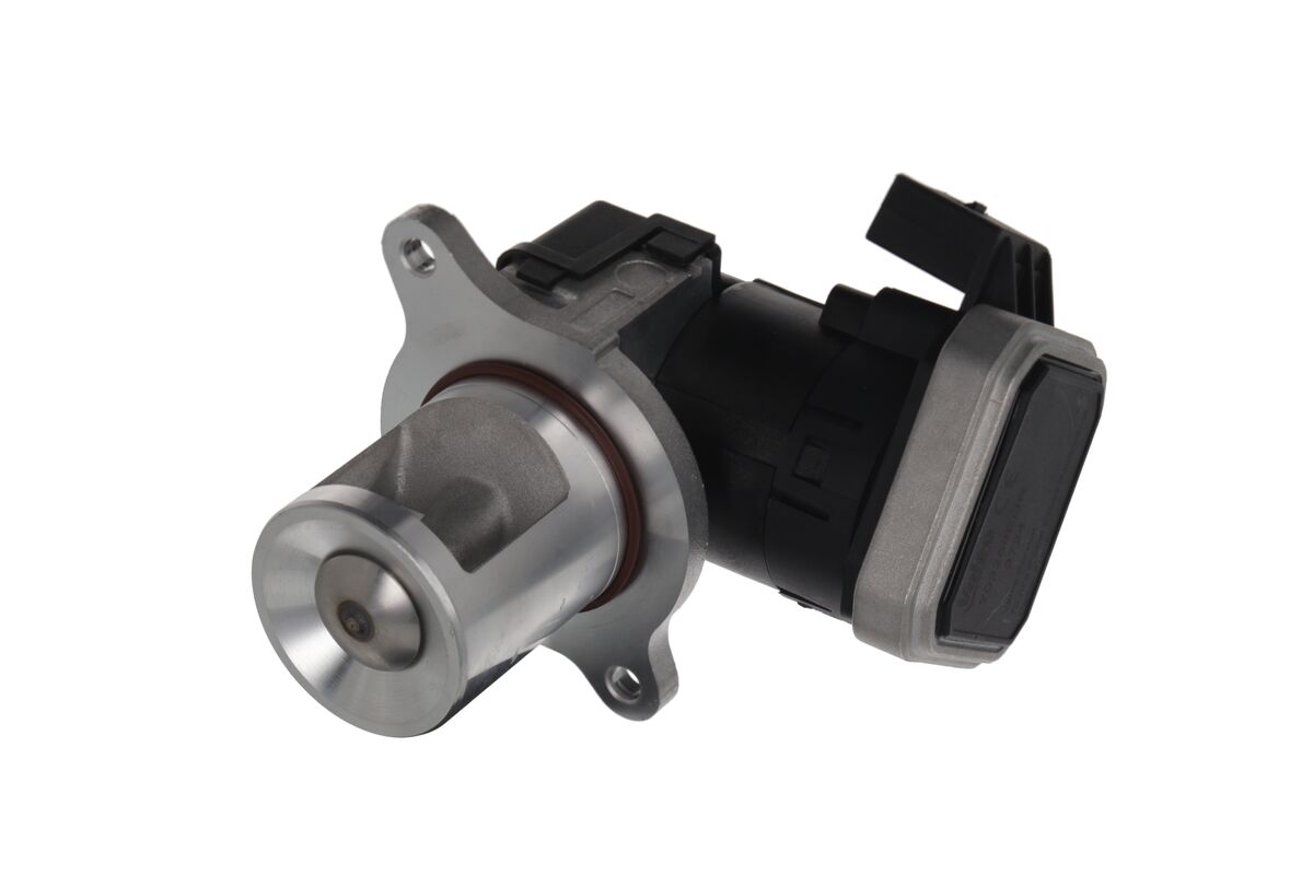 EGR Valve 3