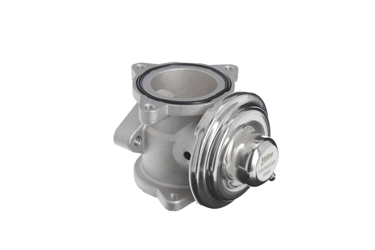 EGR Valve 3