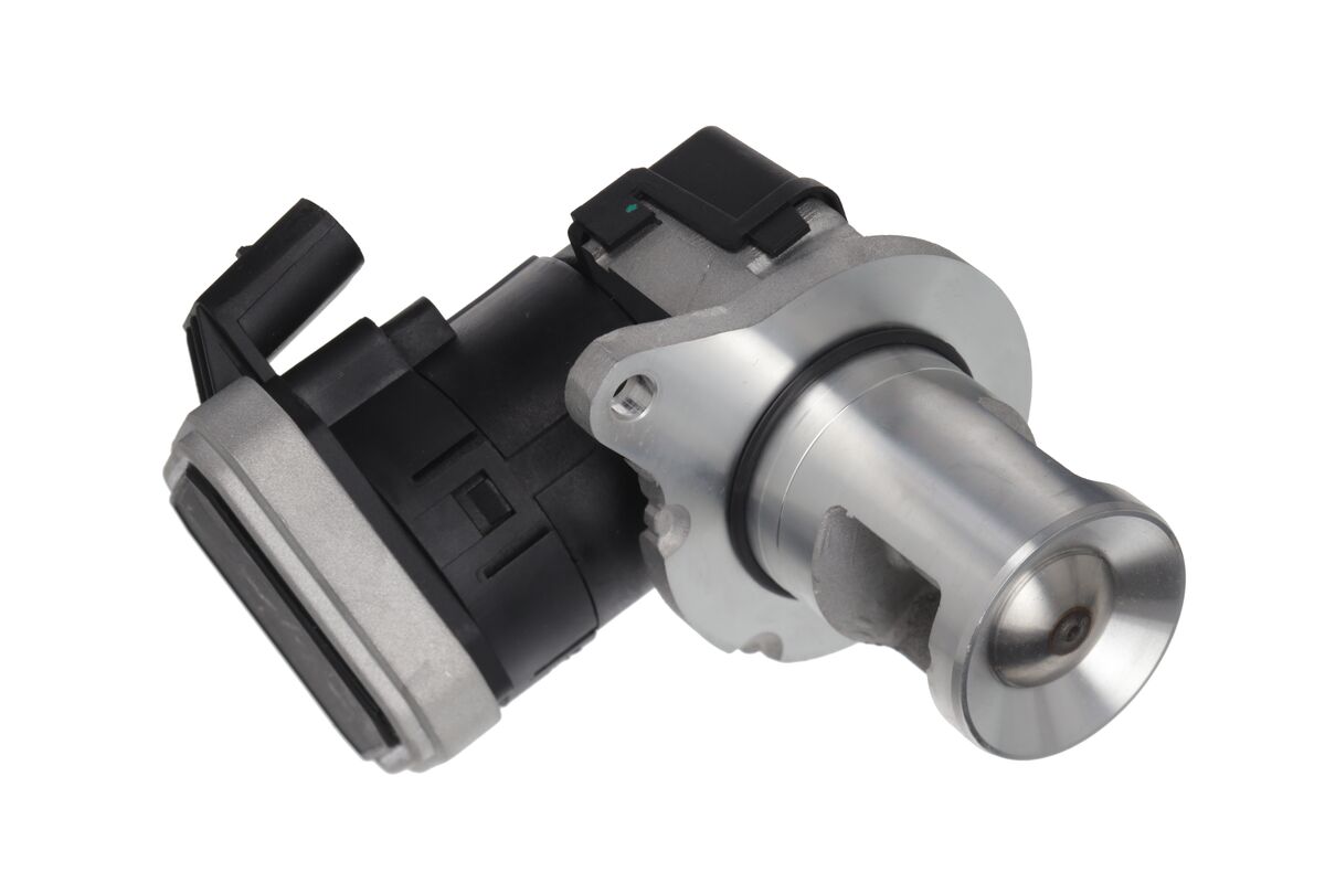 EGR Valve 3