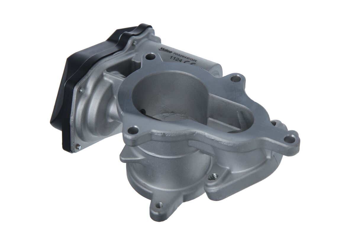 EGR Valve 3