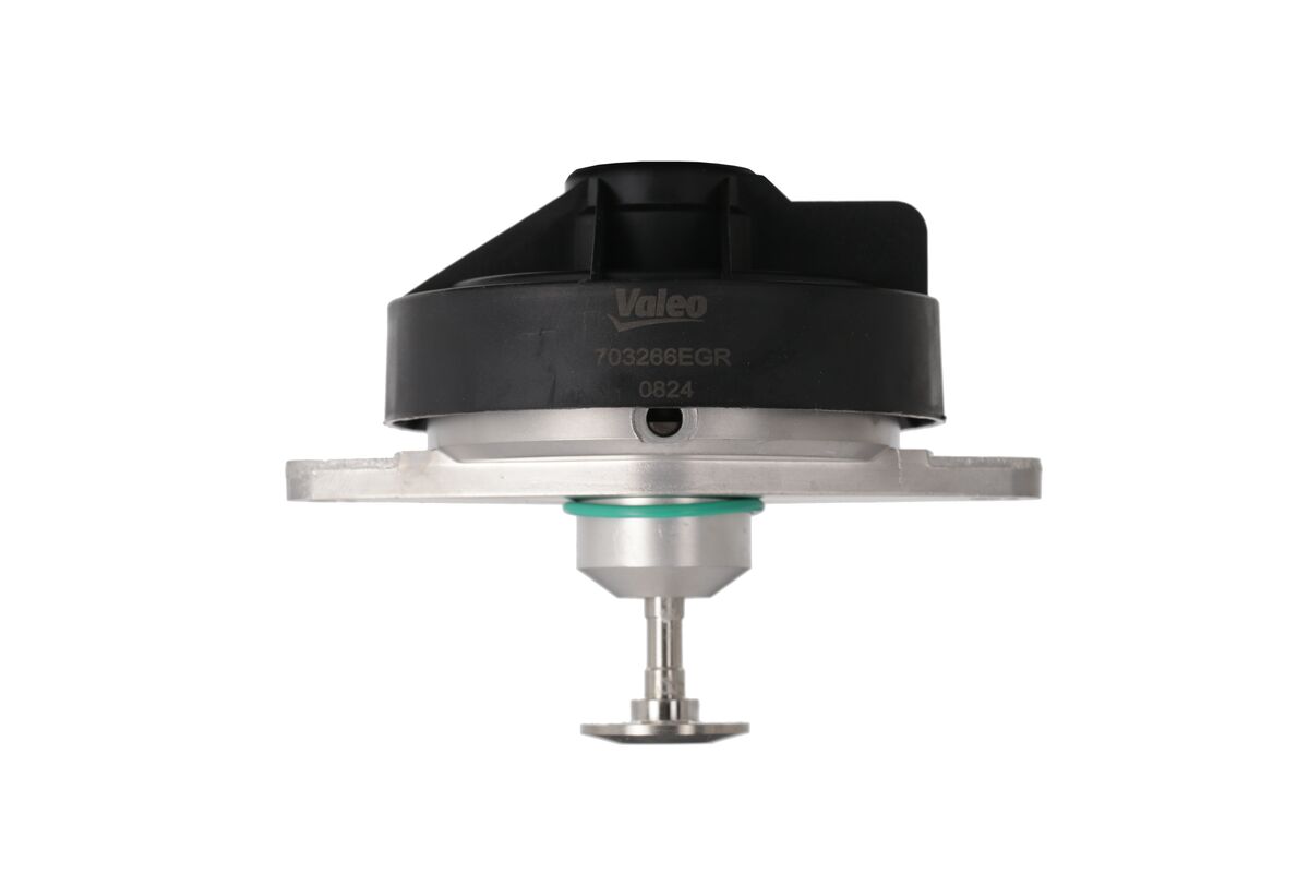EGR Valve 2