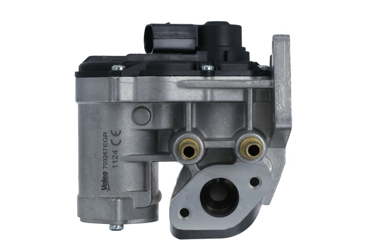 EGR Valve