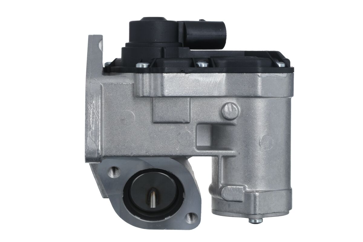 EGR Valve 2