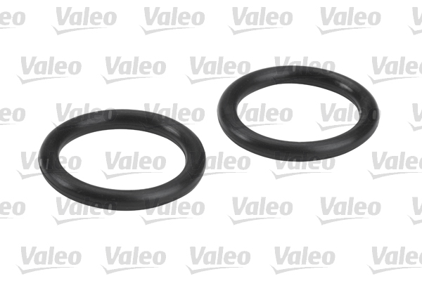 Fuel Filter 5
