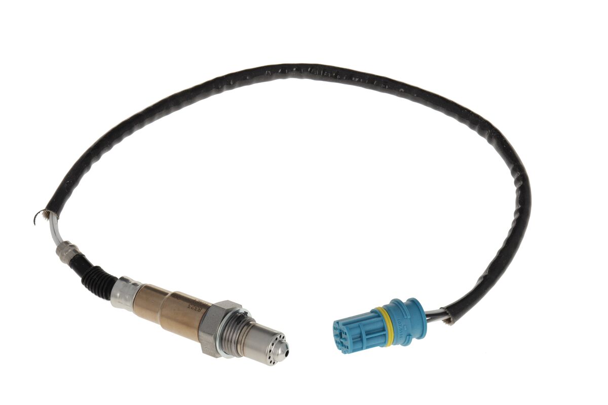 Oxygen Sensor