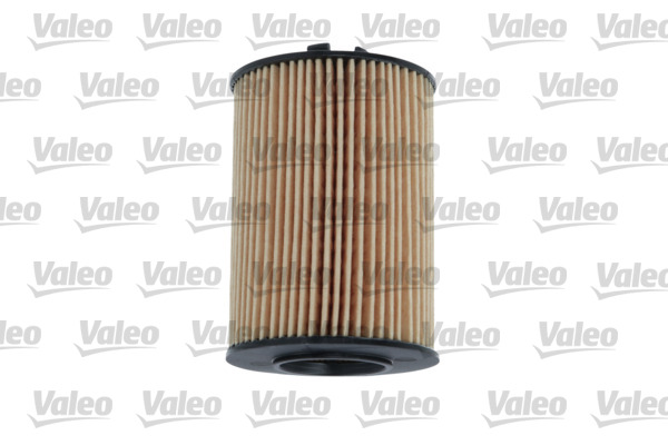 Oil Filter 3