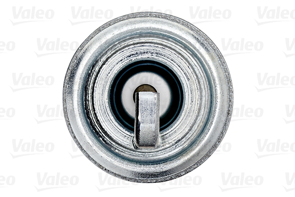 Spark Plug 3