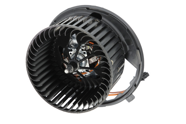 Interior Blower