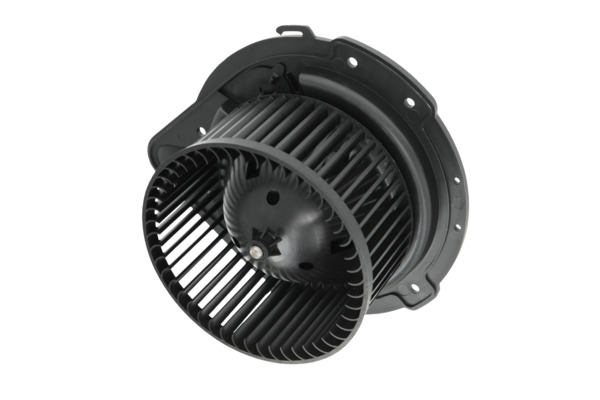 Interior Blower