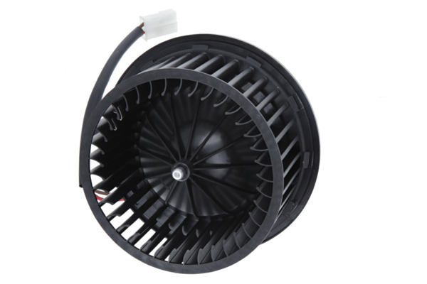 Interior Blower