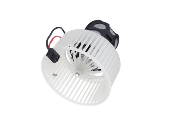 Interior Blower