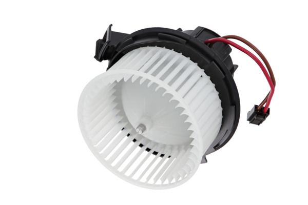 Interior Blower
