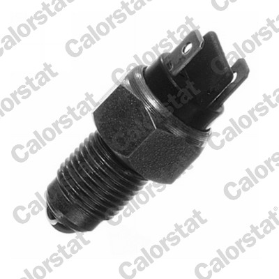 CALORSTAT by Vernet RS5534...