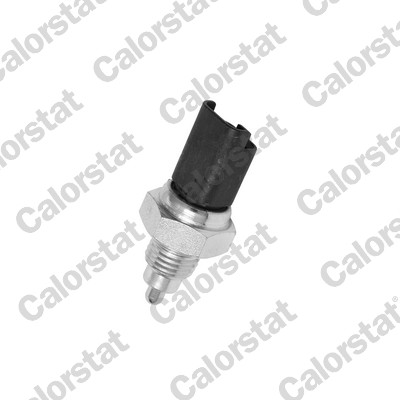 CALORSTAT by Vernet RS5577...