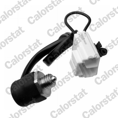 CALORSTAT by Vernet RS5596...