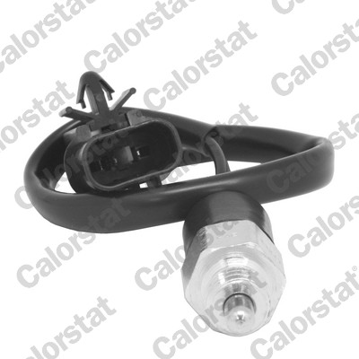 CALORSTAT by Vernet RS5602...