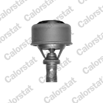 CALORSTAT by Vernet TH4495.89 Termostato, Refrigerante-Termostato, Refrigerante-Ricambi Euro