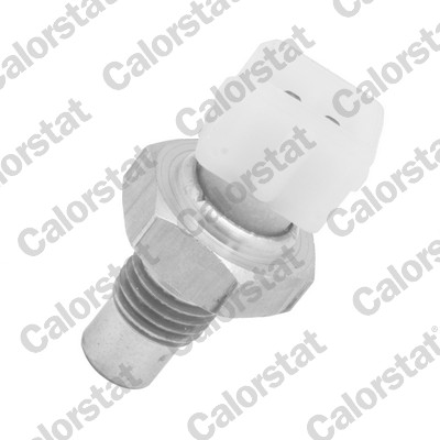 CALORSTAT by Vernet WS3165 Sensor, coolant temperature