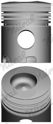 NÜRAL 87-172511-00 Piston for DEUTZ-FAHR FENDT KRAMER